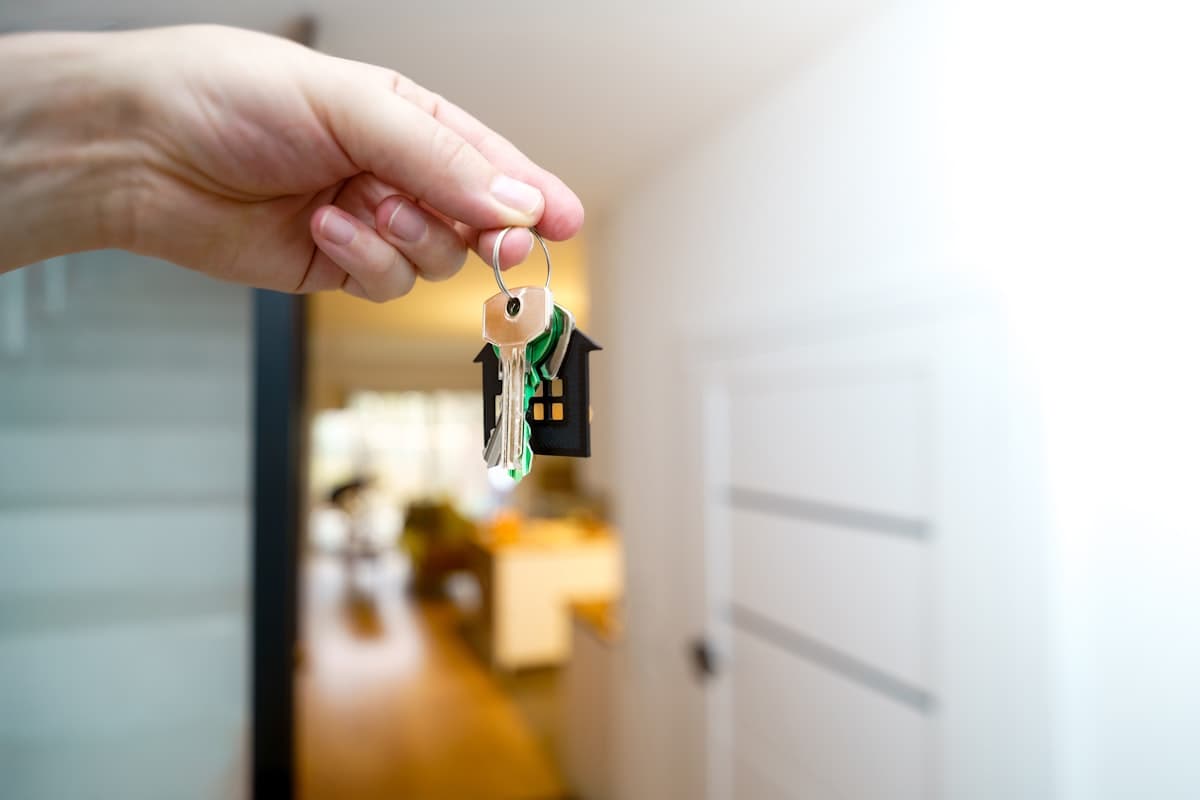 Property & Real Estate Law